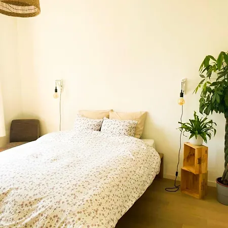 Appartement Op Locatie In Antwerpen